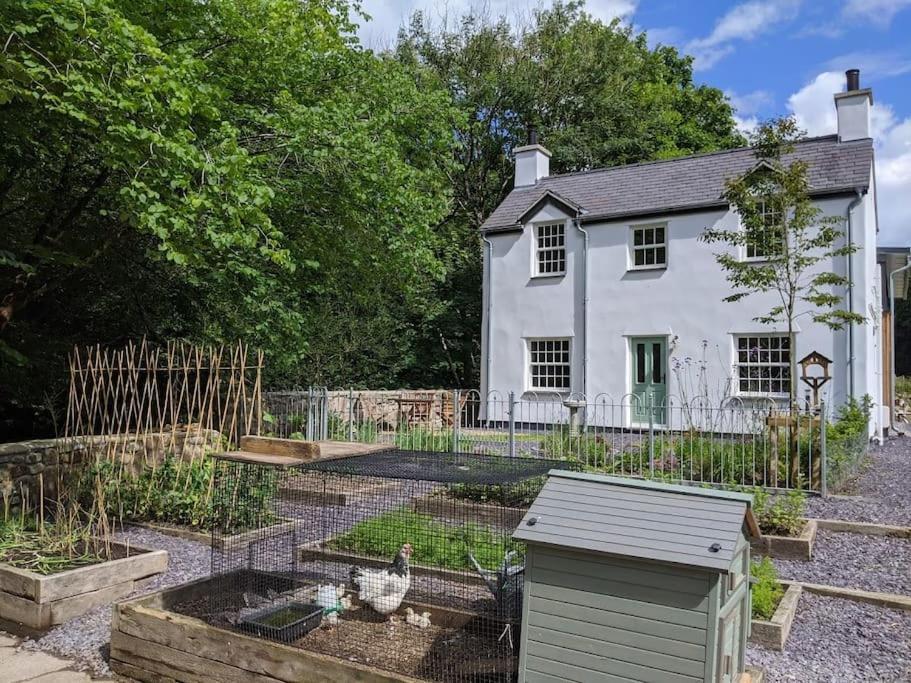 Riverside Cottage Walking Distance Into Caernarfon Exteriér fotografie