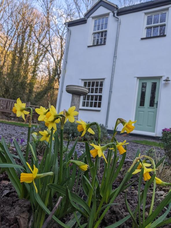 Riverside Cottage Walking Distance Into Caernarfon Exteriér fotografie